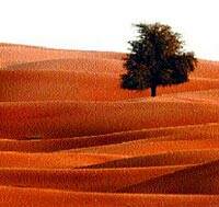 Algunos desiertos pueden generar oasis gracias a la  energía termosolar