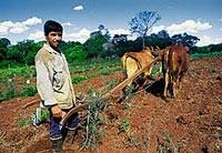 `Los pobres poseerán la Tierra´: aprobación católica y protestante a la ocupación de tierras para la reforma agraria en Brasil