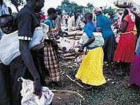 Las ONG afirman que el número de muertos en el norte de Uganda es `tres veces mayor que en Irak´