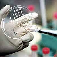 La Unión Europea sólo financiará investigaciones con células madre que no destruyan embriones
