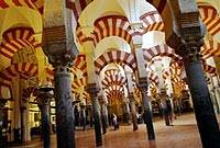 El obispo de Córdoba rechaza el rezo musulmán en la mezquita porque generaría «confusión»