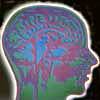 El ácido fólico puede rejuvenecer el cerebro hasta cinco años