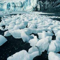La era de la destrucción de los polos Ártico y Antártico ha llegado