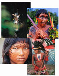 Brasil-Amazonia: el gobierno denuncia a grupo misionero evangélico de EEUU
