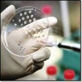 Científicos crean a partir de un cabello células madre como las embrionarias
