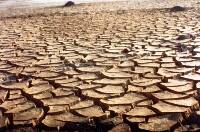 Las sequías y las olas de calor se triplicarán en España antes de fin de siglo