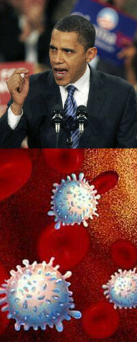 Obama abre el grifo público para la investigación con células madre