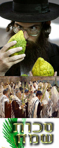 La comunidad judía española celebra la Fiesta de Sucot