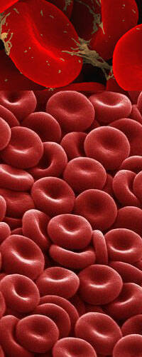 Crean glóbulos rojos artificiales