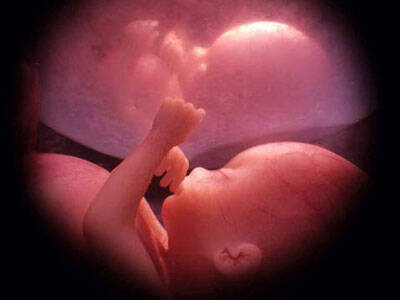 Los genes del feto se encuentran en la sangre de la madre