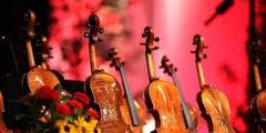 Violines judíos del Holocausto vuelven a sonar para que nadie olvide