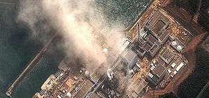 Pescan lubina altamente radioactiva cerca de Fukushima