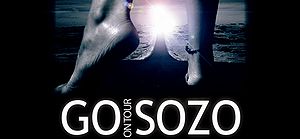 GoSozo 2011