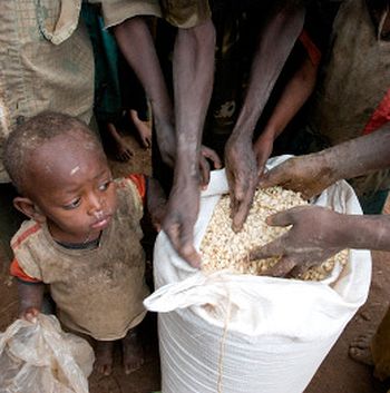 Más de 50.000 vidas perdidas por el retraso en la ayuda al Cuerno de África