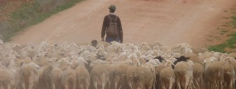 La tarea del pastor