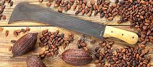 El mundo oscuro que rodea al gran negocio del cacao