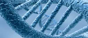 Génesis y genoma: evidencia genética