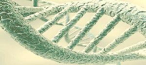 Génesis y genoma: evidencia genómica