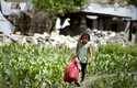 Alto riesgo de tráfico de niños en Nepal tras el terremoto