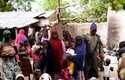 Boko Haram violó a niñas liberadas, dejando a 200 embarazadas