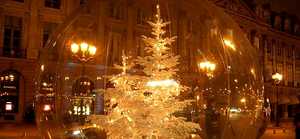 Frases para adornar y encender el árbol de Navidad