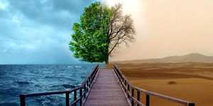 La 'vida ecológica', una forma de ser cristiano