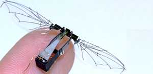 Si una mosca te vigila, podría ser un robot