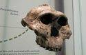 Restos fósiles de Homo sapiens en Marruecos