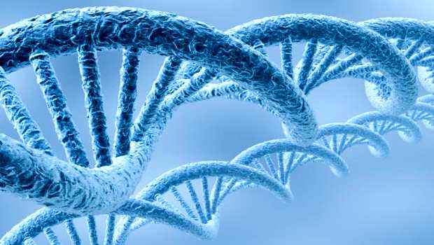 Los genes ‘desnudan’ nuestro presente y futuro