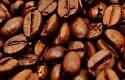 Ecologistas cristianos, a favor de prohibir vasos de café desechables
