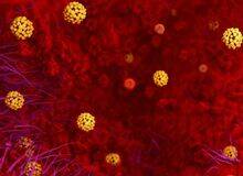 Lo que rodea la epidemia de coronavirus