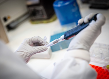 Un equipo de científicos españoles crea un test de anticuerpos del coronavirus fiable al 98%