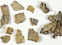Fragmentos de manuscritos bíblicos entre los hallazgos en cuevas del Mar Muerto