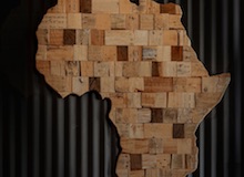 Prosperidad, salud y florecimiento humano en África