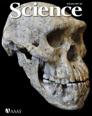 Un cráneo de casi 2 millones de años cuestiona la historia de la evolución humana