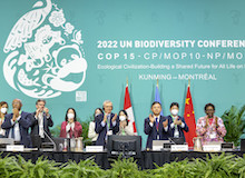 La Alianza Evangélica Mundial apoya el acuerdo de la ONU para proteger la biodiversidad
