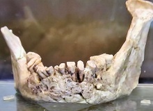 La mandíbula de Banyoles y la evolución humana