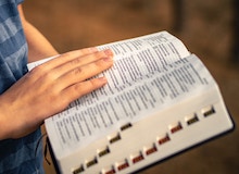 La traducción bíblica marcó un nuevo récord en 2022