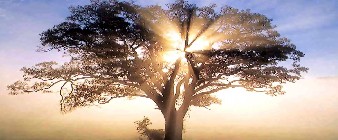 <em>&iquest;Por qu&eacute; esta sociedad es tan reacia a admitir una realidad espiritual?</em>