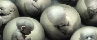 <em>Verdades sobre el aborto</em>