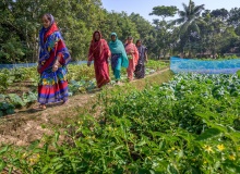Todos los días son el Día de la Tierra con los programas de World Vision