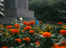 La flor de su calavera
