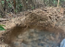 Hallan sin vida en una fosa común los cuerpos de ocho evangélicos secuestrados en Colombia