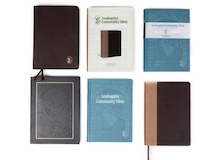 Biblia Comunitaria Anabautista