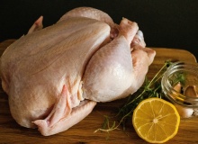 El congreso internacional del pollo