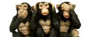 ¿Por qué los monos no hacen preguntas? (1)