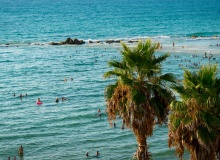Mediterráneo, evangélicos y cambio climático