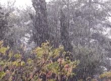 El diluvio de Noé