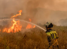 Llamas sobre la tierra, fuego en el corazón: El Espíritu Santo ardiendo en medio del desastre