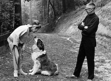 El matrimonio de Schulz (8)